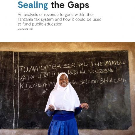 sealing the gaps report